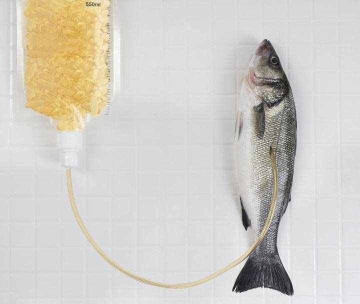 鱼油的正确服用方法（鱼油怎么吃）