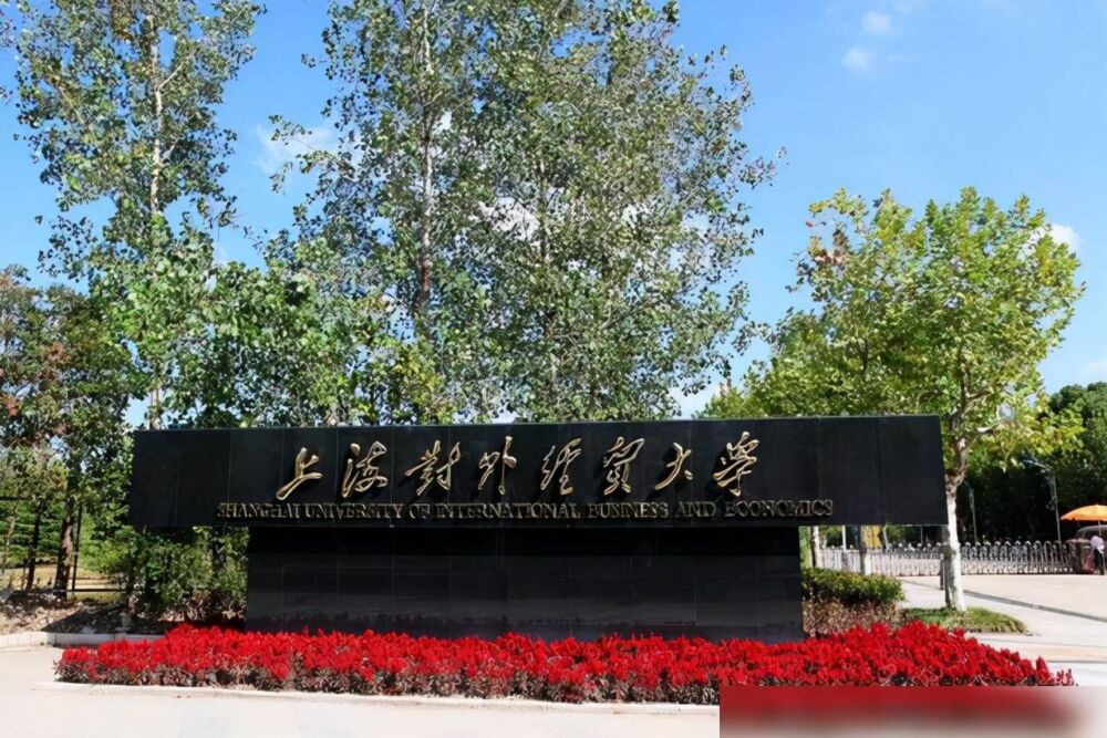 上海对外经贸大学实力（上海对外经贸大学怎么样）