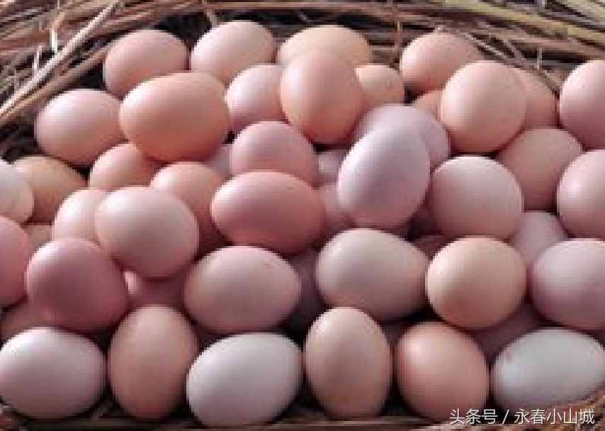 两个原因导致鸡蛋价格上涨（鸡蛋涨价！）