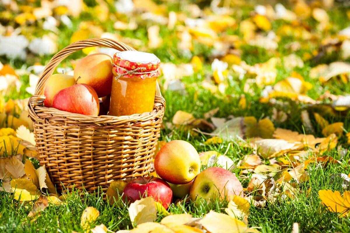 秋季养生有什么特点，秋季养生怎么吃？