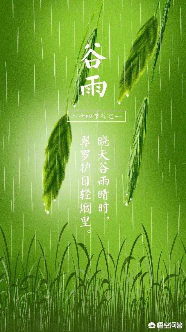 关于下雨的农谚或俗语有哪些？（关于雨的俗语）