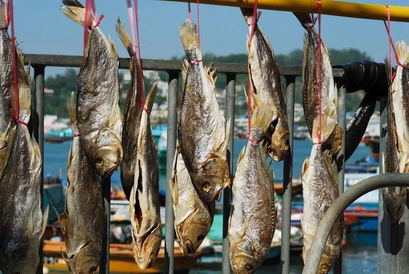 古代禁止贩卖私盐，那咸鱼该如何腌制呢？官府早就为渔民想好了