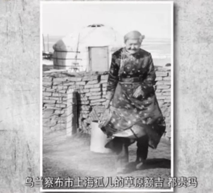1960年，国家将上海3000孤儿送到内蒙古大草原，后来怎么样了