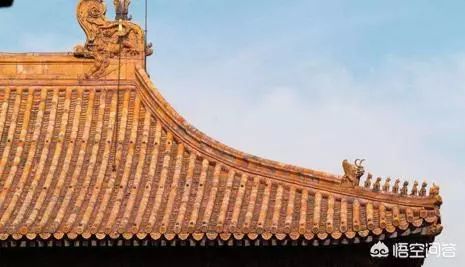 故宫的房顶从没有鸟粪，600多年了为何如此干净？