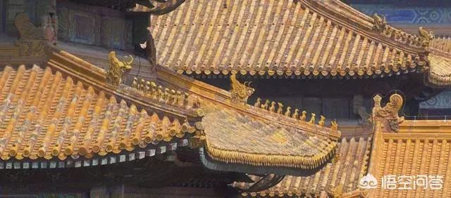 故宫的房顶从没有鸟粪，600多年了为何如此干净？