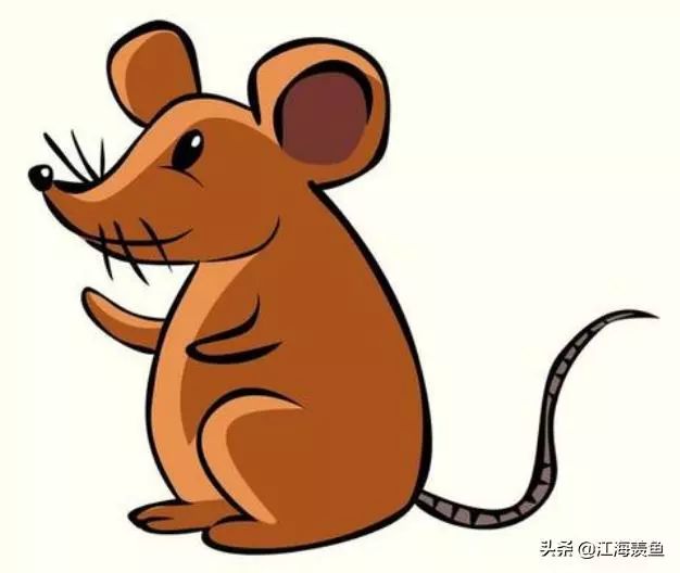 人们对鼠深恶痛绝，鼠却成为十二生肖之首，影响了世界历史的进程
