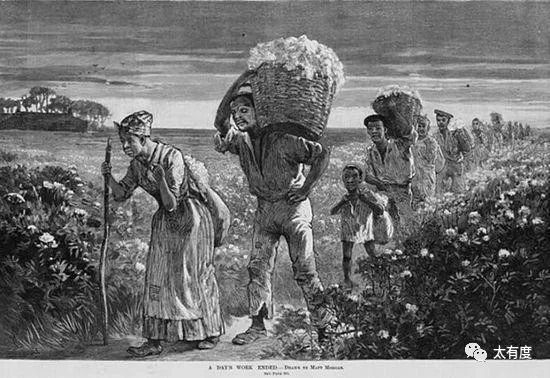 黑奴被奴隶主当做繁殖工具：女奴十三岁开始生育，最多生了41个