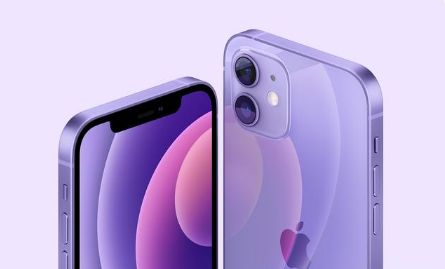 紫色版iPhone 12随机序列号有什么用？
