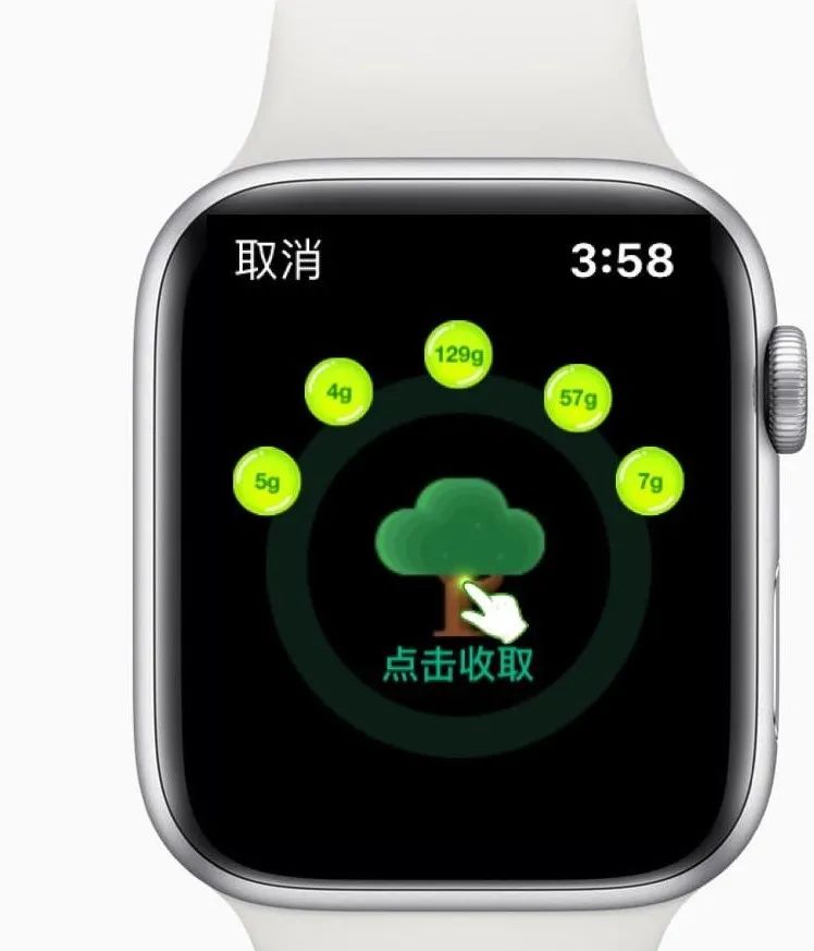 Apple Watch 支付宝新功能：“一键收取”蚂蚁森林能量