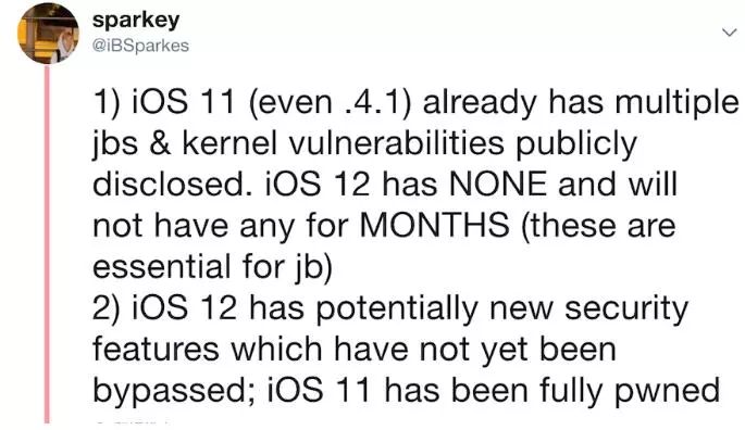 开发者：iOS11.4.x越狱希望要比iOS12大的多！