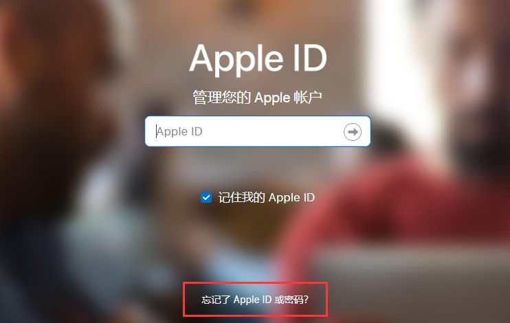 iPhone 12登录Apple ID时遇到问题的解决办法！