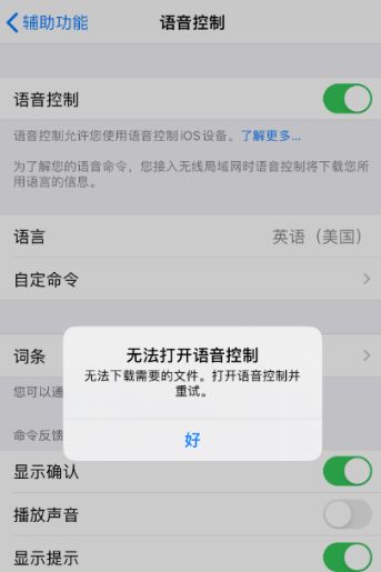 iPhone提示“无法打开语音控制”的解决办法！