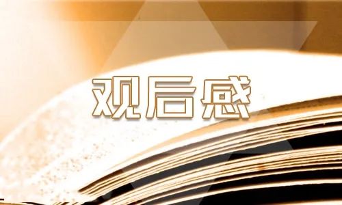 2020年宪法的精神法治的力量观后感