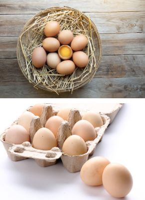 什么样的鸡蛋才新鲜，手把手教你挑选好鸡蛋和皮蛋！