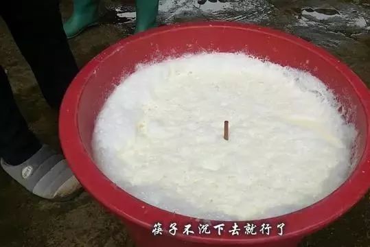 靠做老豆腐，大妈在农村也能月入5000元，揭秘传统水豆腐的做法！