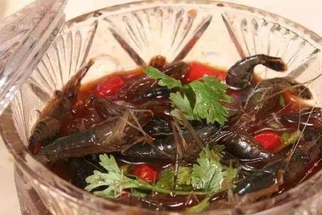 江浙名菜“醉虾”，餐厅主厨告诉你腌制“醉虾”，用白酒还是黄酒？