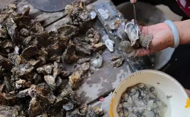 你能区分海蛎和生蚝吗？海蛎这样做，鲜嫩无比，价值营养极高！