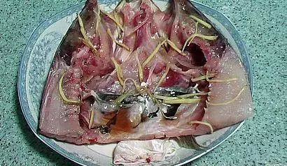 鱼头怎么做最好吃？教你清蒸鱼头的家常做法，注意这一点，鱼头鲜香无腥味！