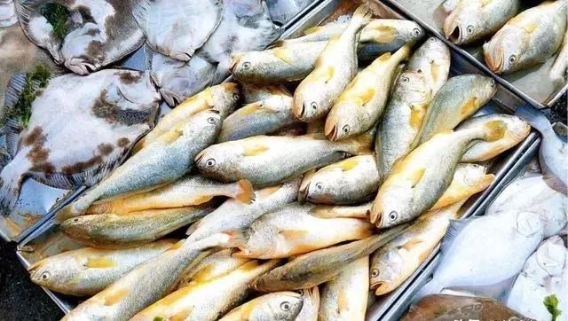 春季哪些海鲜最鲜美？老渔民告诉说，这10种海货这个季节最好吃！！