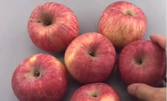 苹果是“片红”还是“线条红”好吃？记住这4点，买的苹果又脆又甜！
