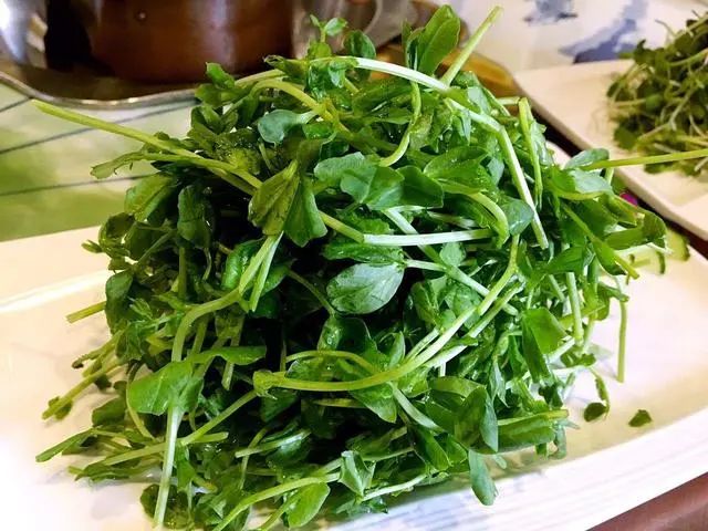 春天最嫩的蔬菜千万不要错过，豌豆苗的6种做法，鲜嫩爽口很下饭！