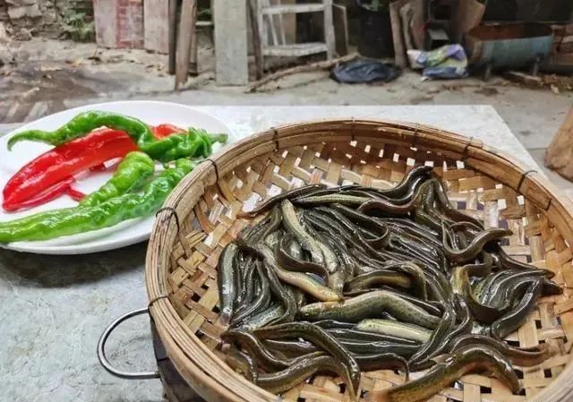 泥鳅最好吃过瘾的湘菜做法，软嫩鲜香无腥味，做起来又简单！