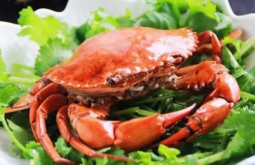 螃蟹千万不要直接下锅蒸？教你正宗的蒸螃蟹方法和个绝招，保证肉嫩味鲜！