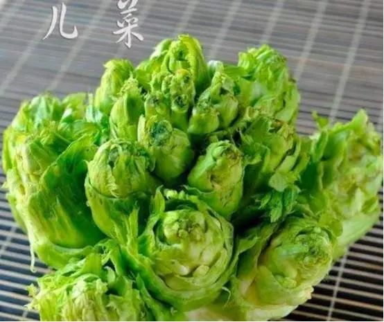 最难吃的5种“奇葩蔬菜”，却是四川人的最爱，一般人受不了的口味！