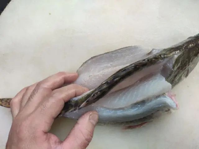 清蒸桂花鱼，简单又好吃，春天是最肥美，最便宜的时候，你想吃了吗？