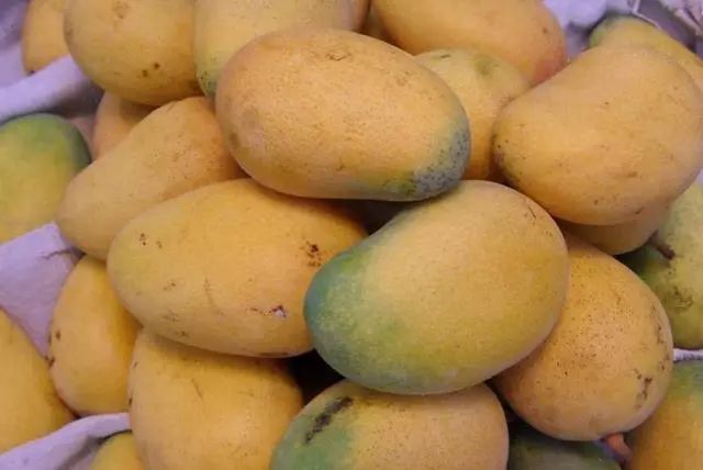 什么样的芒果才好吃？买芒果时远这样的肉多核小甜度高，牢记这5点，保证买的芒果好吃！