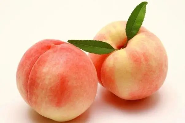 桃子的功效与作用营养