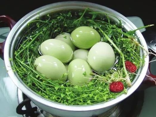 每天吃一个艾草煮鸡蛋，不出半个月，这些好处可能“不请自来”