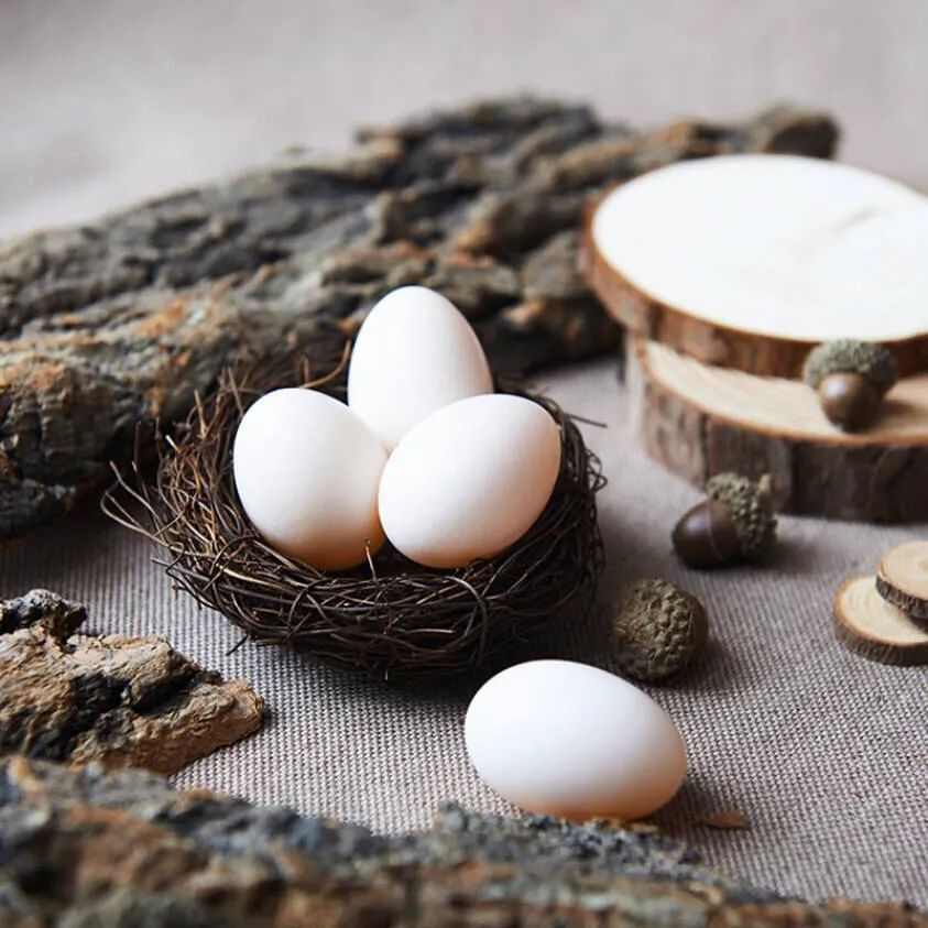 鸽子蛋的营养价值及功效，鸽子蛋的正确煮法