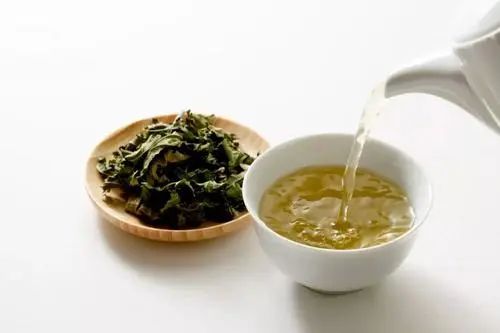 桑叶茶的功效与作用，桑叶茶怎么喝