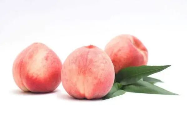 桃子的功效与作用营养