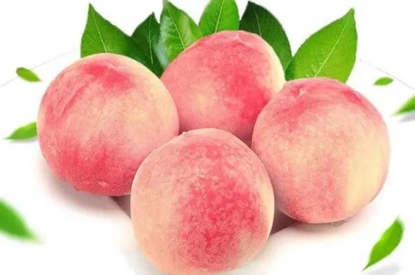 吃桃子对胃有影响吗 胃不好可以吃桃吗