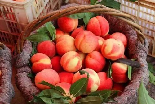 糖尿病人可以吃桃子吗？