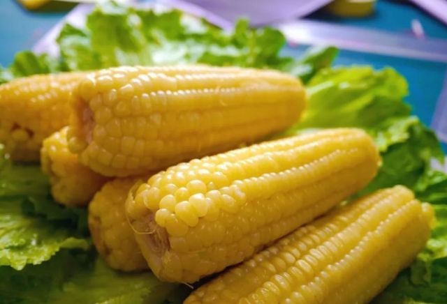 玉米养胃还是伤胃？