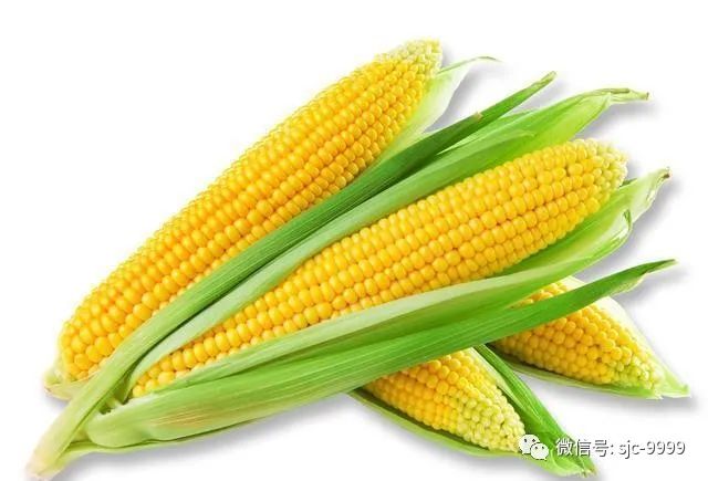 通知大家：常吃玉米，好处或“不约而至”，但6类人最好别吃，转告家人