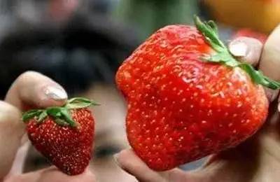 吃草莓的功效、禁忌