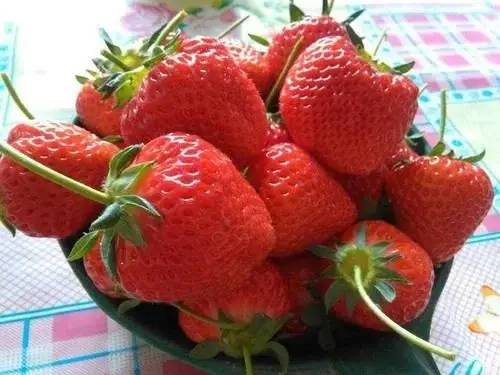 吃草莓的功效、禁忌