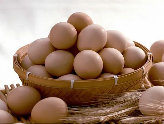 鸡蛋的营养功效