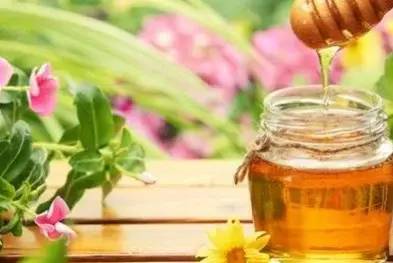 吃蜂蜜的好处及禁忌