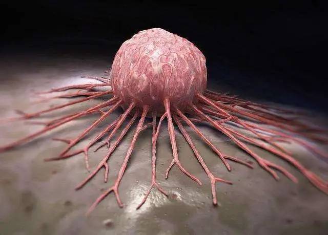 癌症该不该化疗？肿瘤院士：别再“滋养”癌细胞了！