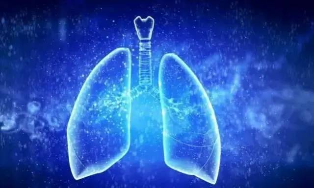 肺不好人，指甲与人“大不同”！三种“异象”提醒你，该养肺了
