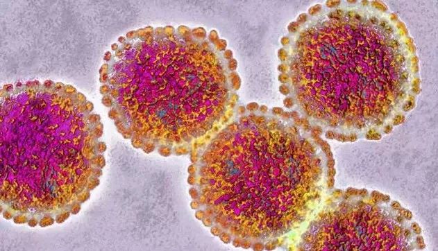 3种男人，是传播HPV的“高危老公”，妻子应提高防癌意识