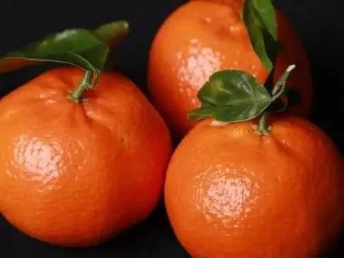 再三提醒：吃完橘子1小时内，不能碰“此物”，别再傻傻犯错！