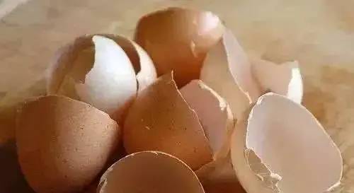 吃隔夜鸡蛋，会细菌超标腹泻吗？营养师：真正不能吃的，是半熟蛋