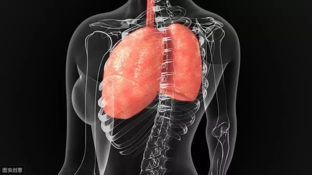 肺结节有什么症状？多吃2物，或许能够帮助缓解结节，润肺养肺