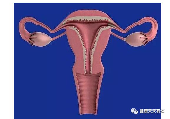 高死亡率的妇科恶性肿瘤！看各种招数如何应对卵巢癌
